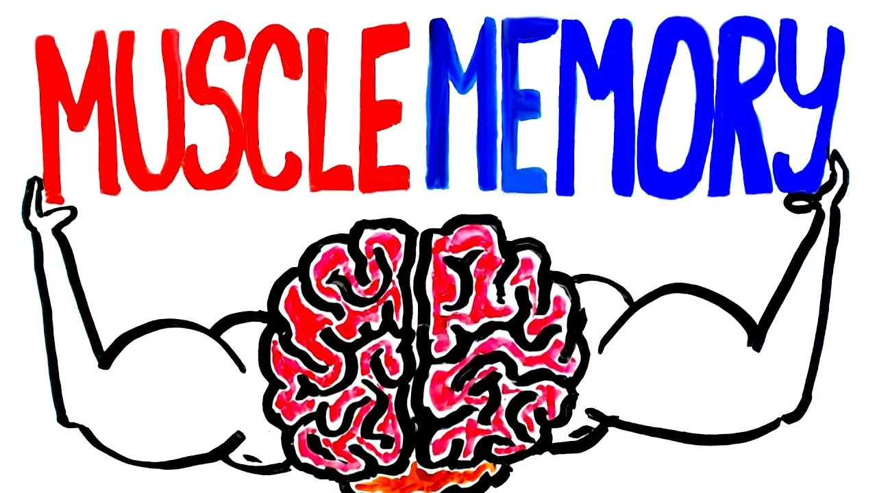 Brain-muscle-memory