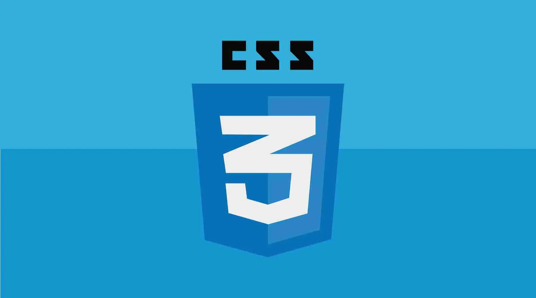 css3