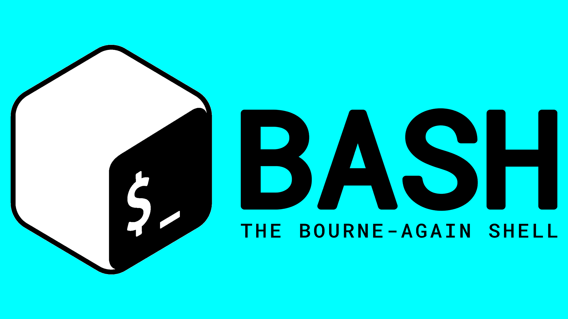 Bash Script