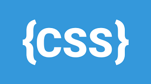 css چیست؟